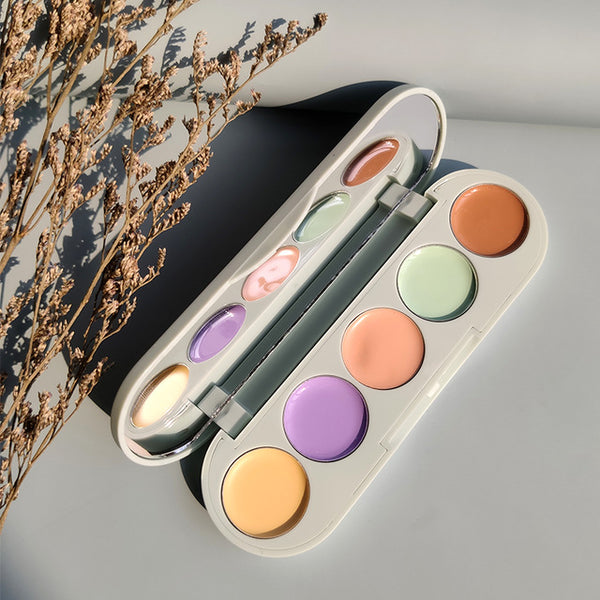 5-color Professional Base Makeup Cover Face  Foundation Concealer