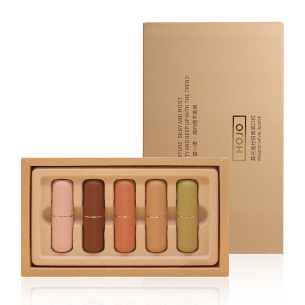 HOJO 5Pcs/Set Red Velvet Lipstick
